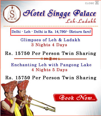 Hotel Singge Palace